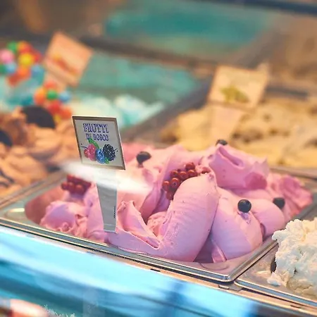 Summer Memories N Pools Daire Navodari