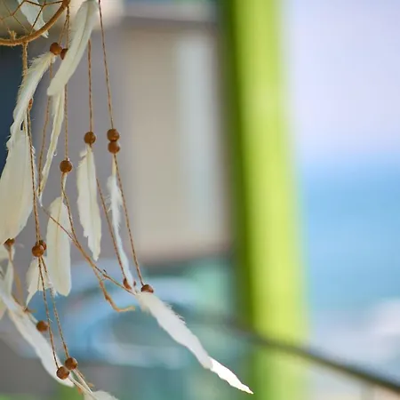 Summer Memories N Pools *